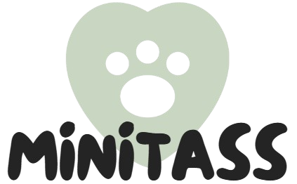 MiniTass.se